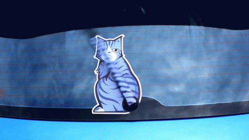 Cats Don'T Like The Rain GIF - Cats Cars GIFs
