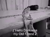 Frog Hello Darkness GIF - Frog Hello Darkness Kermit GIFs