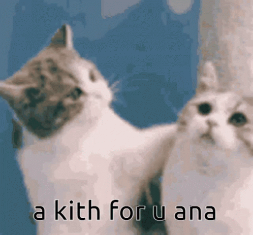 Kitty Kitten GIF - Kitty Kitten Kith GIFs