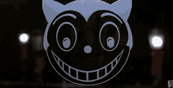 a close up of a black and white cat face