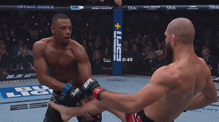 two men are fighting in a boxing ring with a ufc logo on the corner