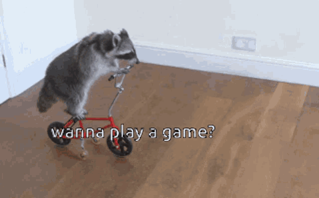 a raccoon riding a tricycle with the words " wanna play a game " written below it
