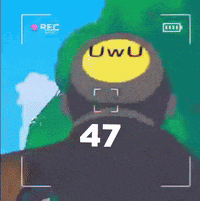 a screenshot of a video game with the number 47 on it