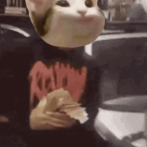 a person with a cat mask on their face holding a piece of paper