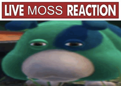Live Moss Reaction GIF - Live Moss Reaction GIFs