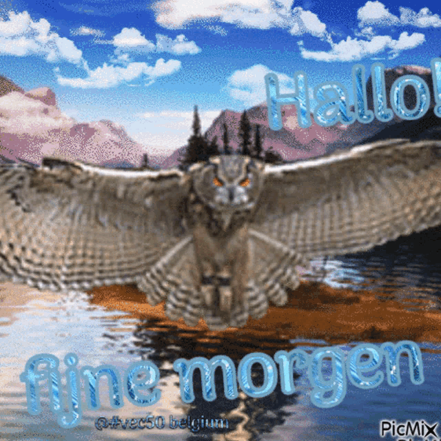 a picture of an owl flying over a body of water with the words fijne morgen written on it