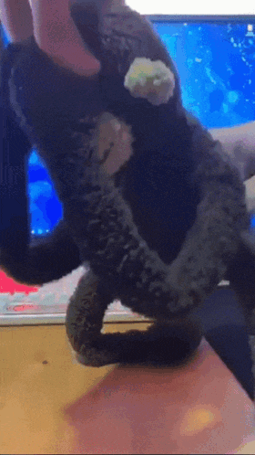 Nice And Slow Monkey Puppet GIF - Nice And Slow Monkey Puppet Cute GIFs