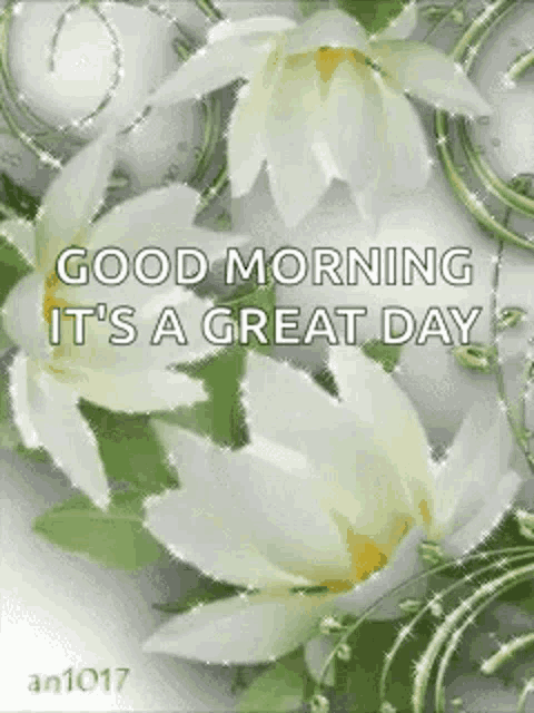 a good morning greeting card with white flowers and green leaves and the words `` good morning it 's a great day '' .