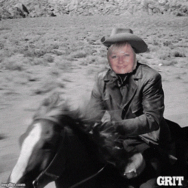 Aaa Horse GIF