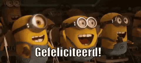 a group of minions are standing next to each other with the word gefeliciteerd written on the bottom