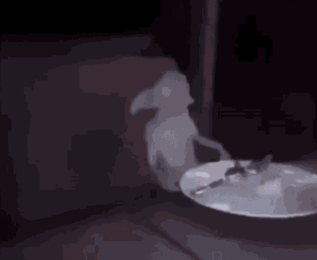 a cat is eating from a white plate with a spoon .
