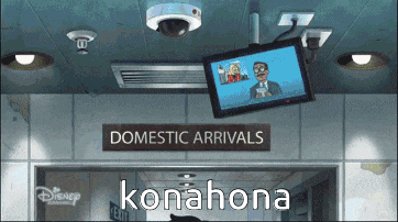 a sign that says domestic arrivals konahona