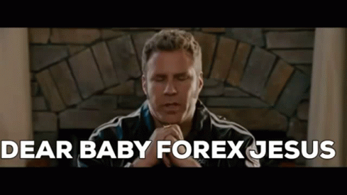 Forex Trading Trading GIF - Forex Trading Trading Funny GIFs