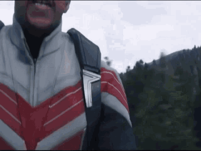 a man in a red , white and blue jacket is standing in a forest .