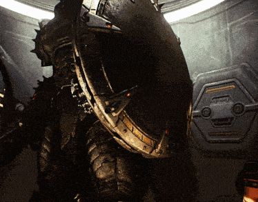 a close up of a person 's back with a shield that says ' shield ' on it