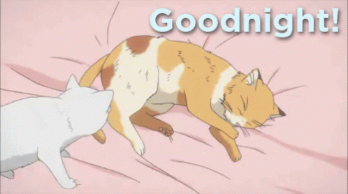 Snuggled Up GIF - Cat Goodnight Cuddle GIFs