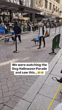 people are watching the dog halloween parade and one of the dogs is wearing a jacket that says incp