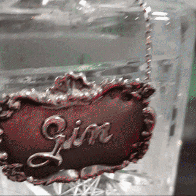 Diplein Gin GIF - Diplein Gin Cheers GIFs