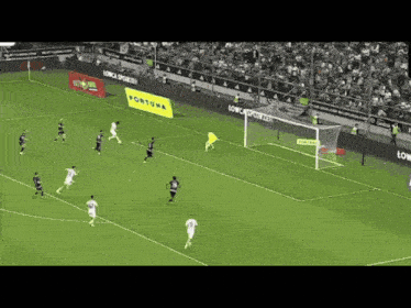 a soccer game is being played on a field with a fortuna banner