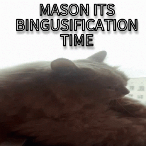 Bingus Bingusification GIF - Bingus Bingusification Binguscord GIFs