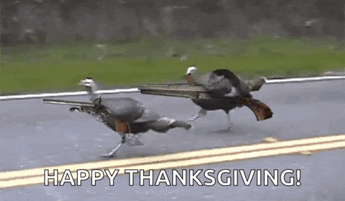 two turkeys are running down a road with guns .