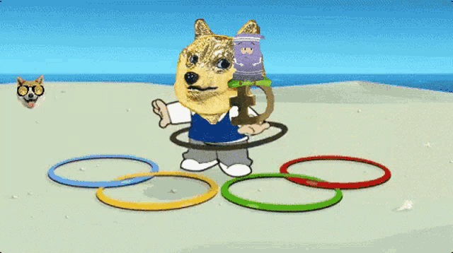 a doge playing with hula hoops on the beach