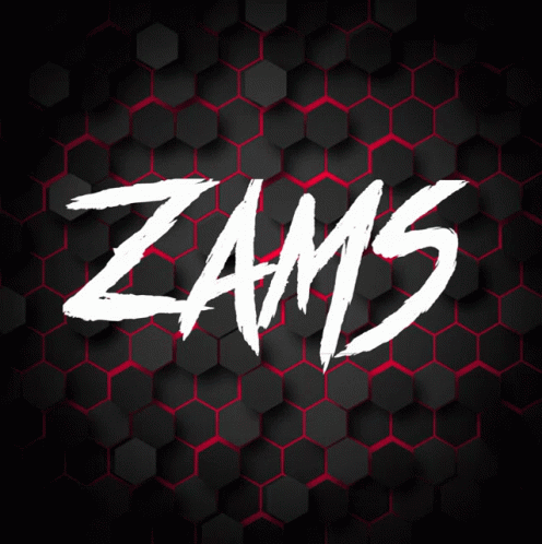 Zams GIF - Zams GIFs