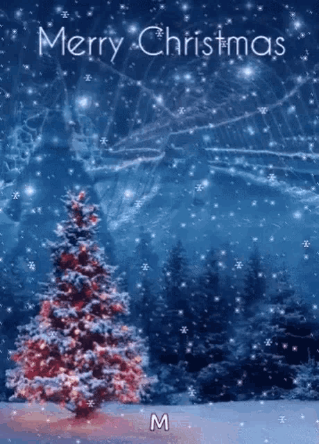 a merry christmas card with a snowy christmas tree