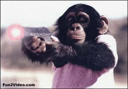a picture of a chimpanzee holding a gun with the website fun2video.com written on the bottom