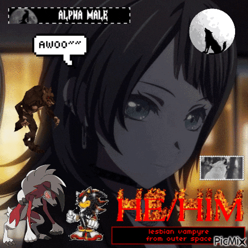 a collage of anime characters including shadow the hedgehog and a girl called alpha male