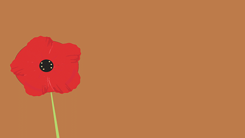 Remembrance Day November 11 GIF - Remembrance Day November 11 Lest We Forget GIFs