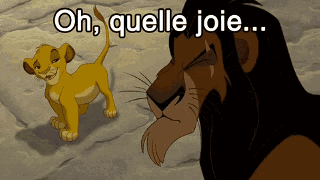 a picture of a lion and a lion cub with the words oh quelle joie above them