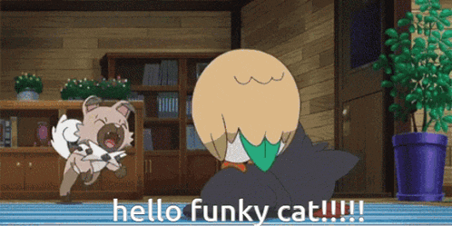 Funky Cat Gc Hi GIF - Funky Cat Gc Hi Hello GIFs