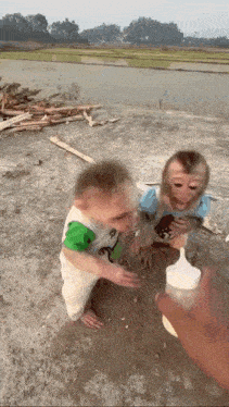 a baby monkey is drinking milk from a bottle while another baby monkey looks on