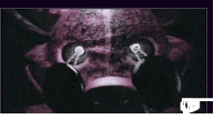 a close up of a purple monster 's face with headphones .