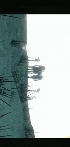 a group of people standing on top of a hill with a white sky in the background