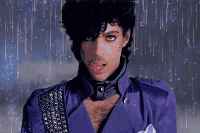 Prince Purple GIF