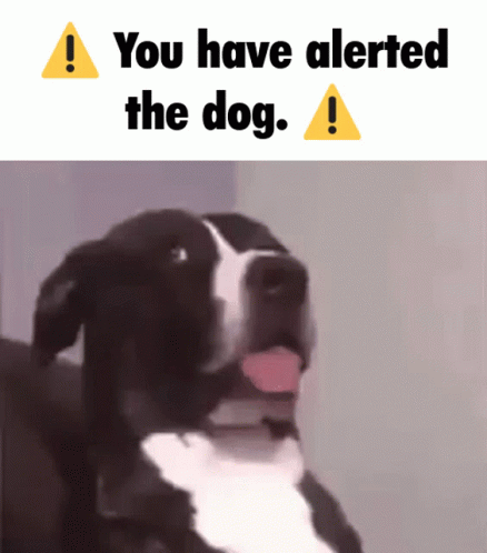 You Have Alerted The Horse Meme GIF - You Have Alerted The Horse Meme Dog GIFs