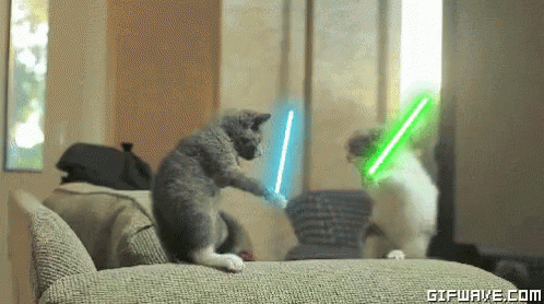 Cats Fight GIF - Cats Fight Light Saber GIFs