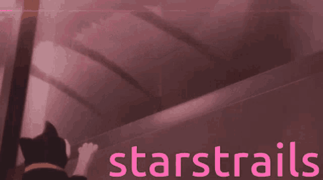 a black and white cat is walking down a set of stairs with the words starstrails behind it