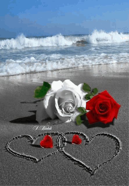 two hearts drawn in the sand on a beach with roses