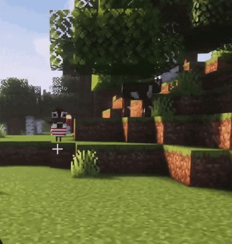 a screenshot of a minecraft game with a cross in the middle of the grass