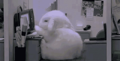 a white stuffed rabbit is sitting at a desk in front of a computer .