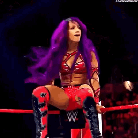 a female wrestler with purple hair is standing in a wrestling ring .