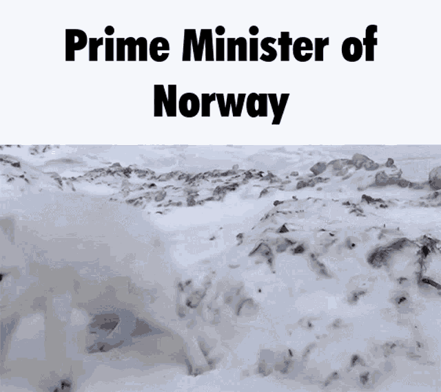 a picture of a dog in the snow with the words prime minister of norway below it