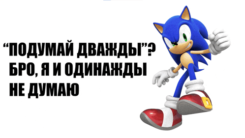 a picture of sonic the hedgehog with a foreign language caption