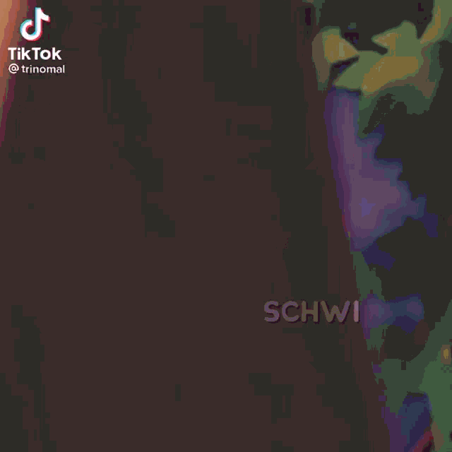 a close up of a person 's face with the words schwi written on it .