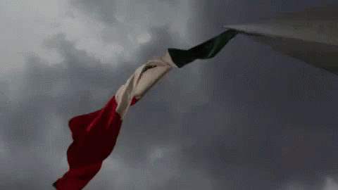 Banderade México GIF - Bandera Mexico GIFs