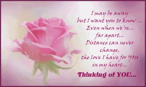 a card with a pink rose and a quote about distance
