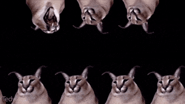 a bunch of cats with horns on a black background with the word techwizard at the bottom